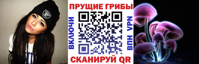 Псилоцибиновые грибы мицелий  Нальчик 